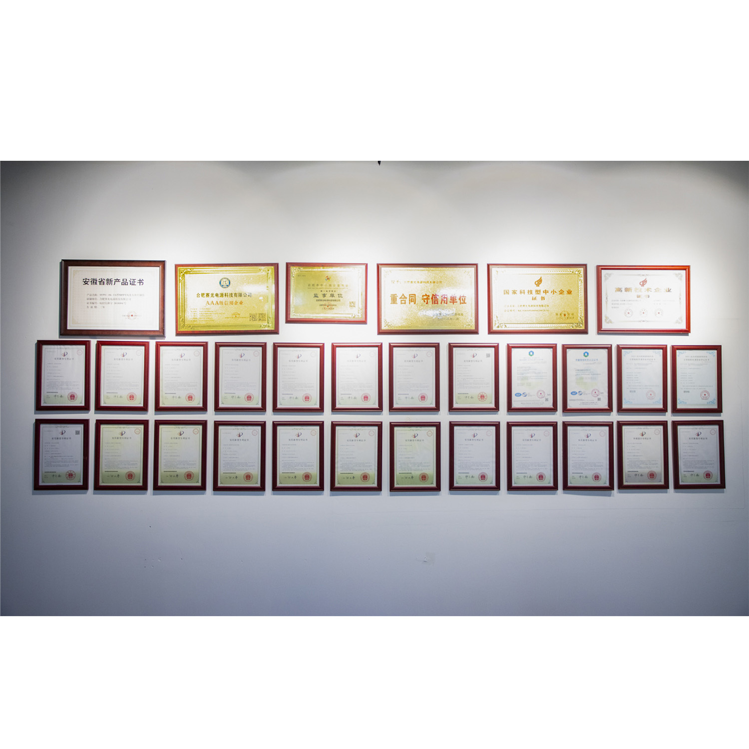 China Anhui Sunway New Energy Technology Co., Ltd. Perfil de la compañía