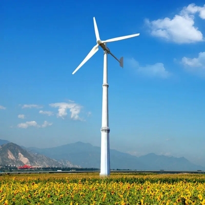 Generador de energía eólica de 3 fases de salida de 10 kW para sistema de energía eólica solar híbrida fuera de la red