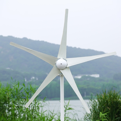 5KW 50HZ Generador de energía eólica Turbina eólica horizontal para el hogar