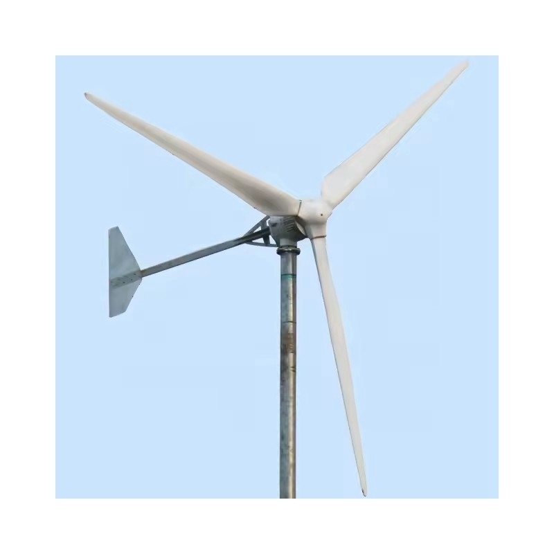 3KW Turbina eólica doméstica de 3KW con capacidad de adaptación fuera de la red Sistema de energía eólica solar híbrida para el hogar